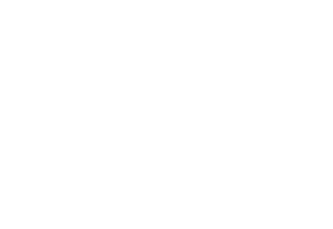 Flexible Space Association logo